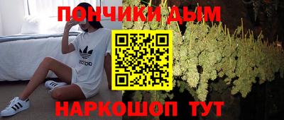 крисы Гусиноозёрск