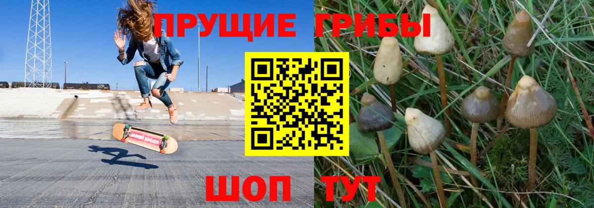 Галлюциногенные грибы MAGIC MUSHROOMS Чехов